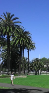 Redfern Park